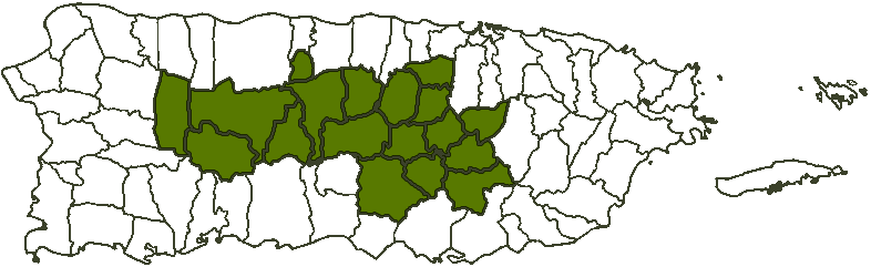 Mapa Área Central Puerto Rico