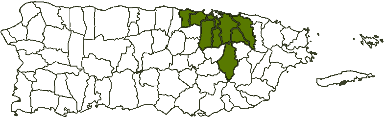 Mapa Área Metropolitana Puerto Rico